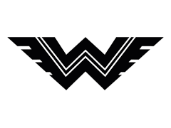 Wanderer Logo, Information