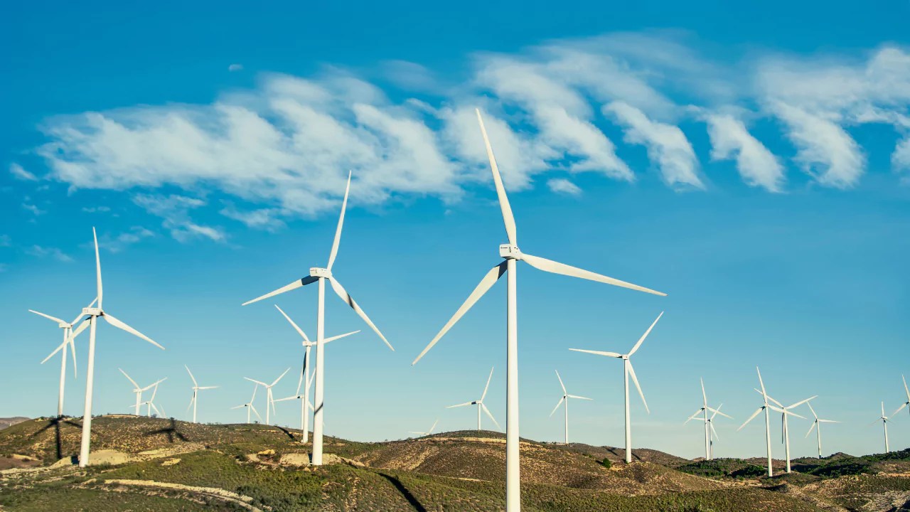 Why GWO certification Matters for Engineers in the Wind Energy Sector?
