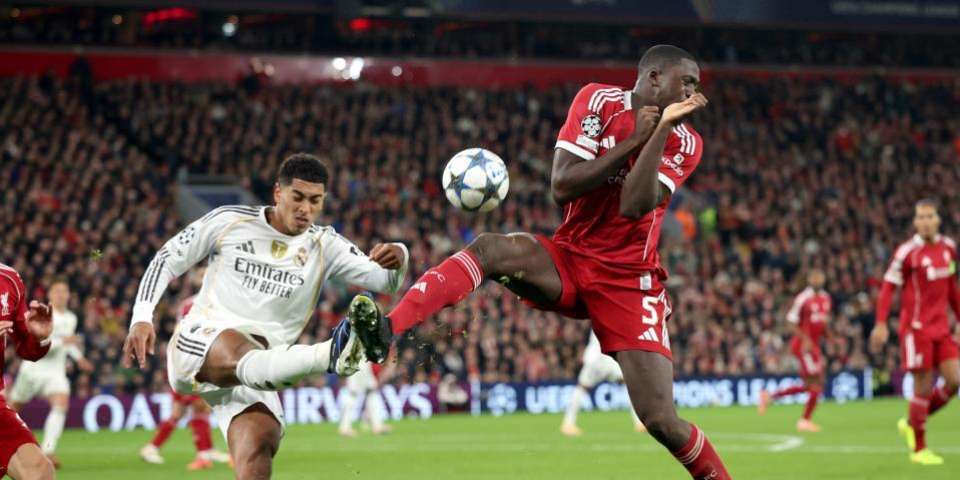 381.jpg